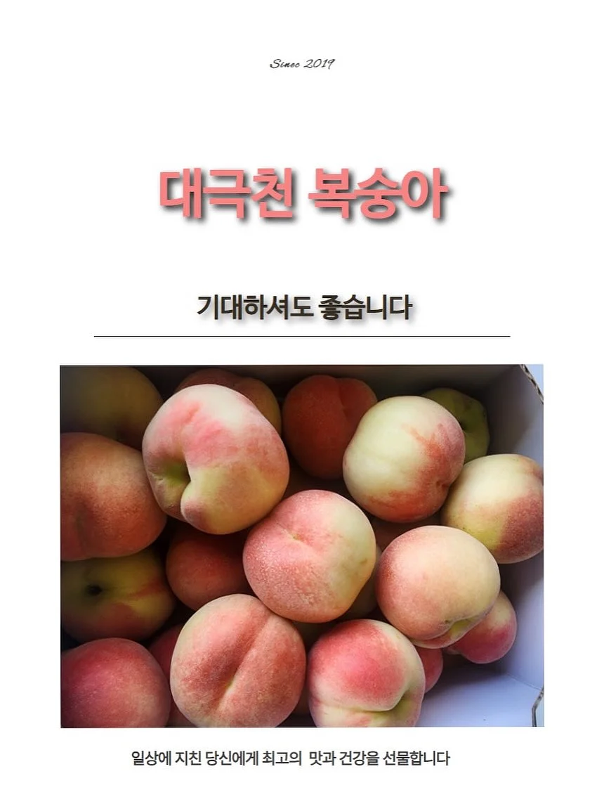 드래곤의 사전 11