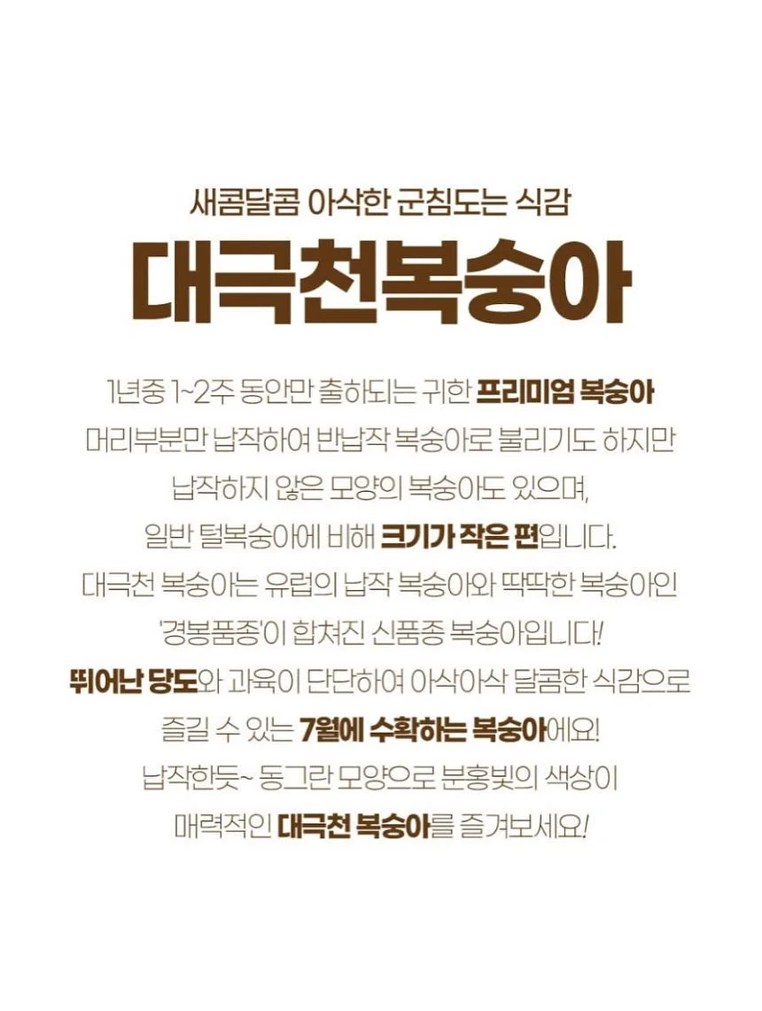 드래곤의 사전 13