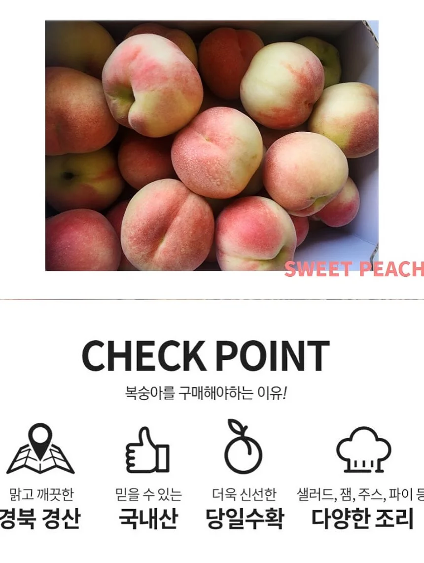 드래곤의 사전 14