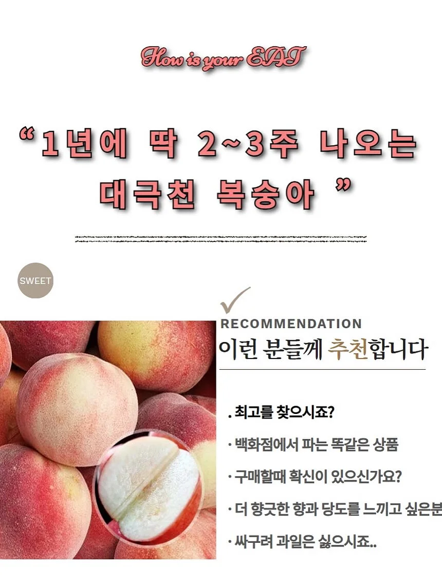드래곤의 사전 18