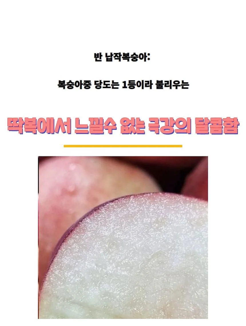 드래곤의 사전 10