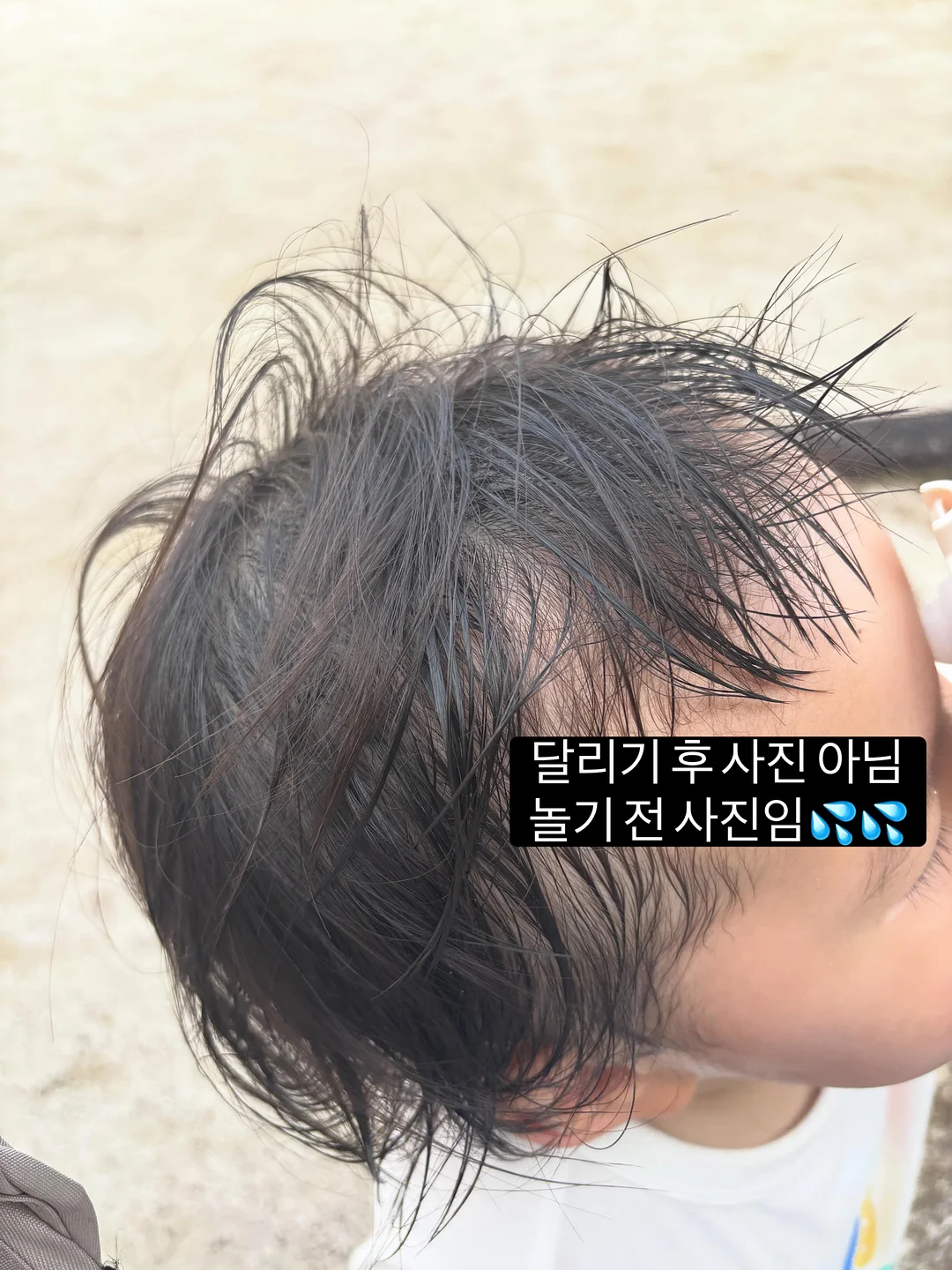 미니 밤호박 2kg 3