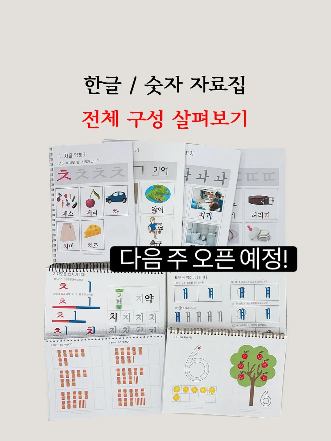 미니 밤호박 2kg 4