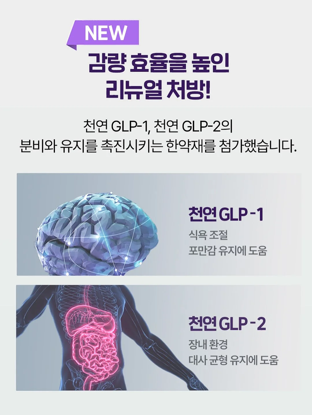 비로소커피 제주 커핑 클래스 13