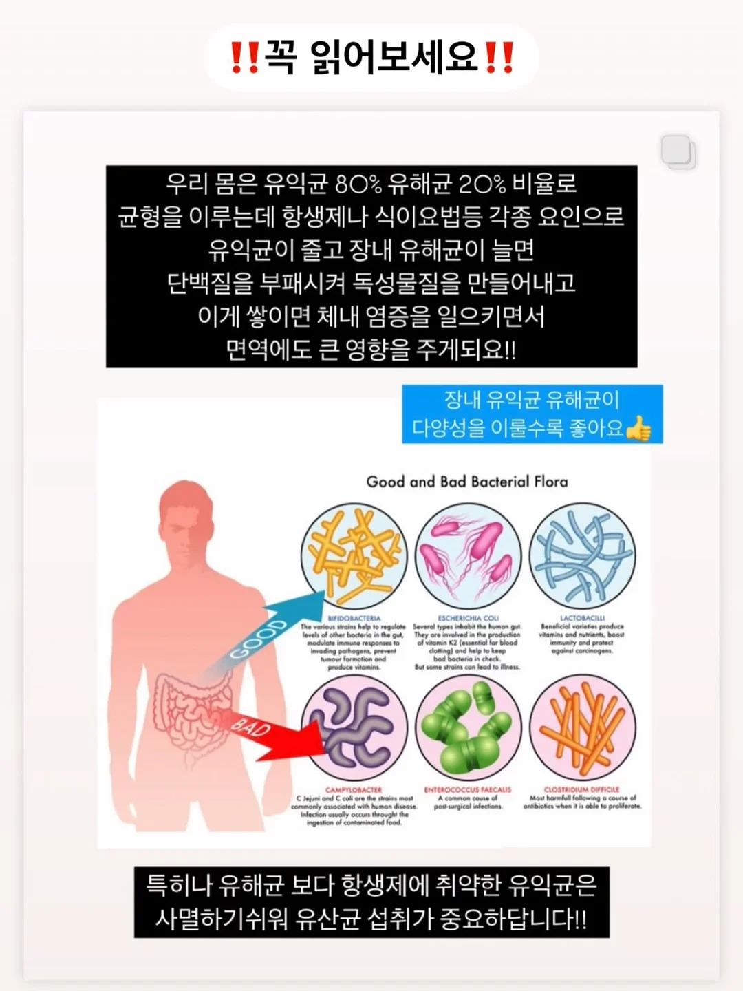 다이소템 수정토 물감놀이 수박 수교구 도안 5