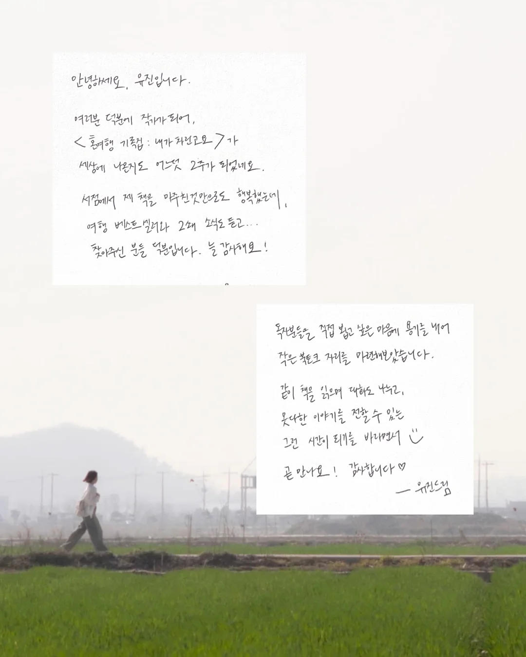 캐빈 승무원 취업 뽀개기 온라인 특강 2