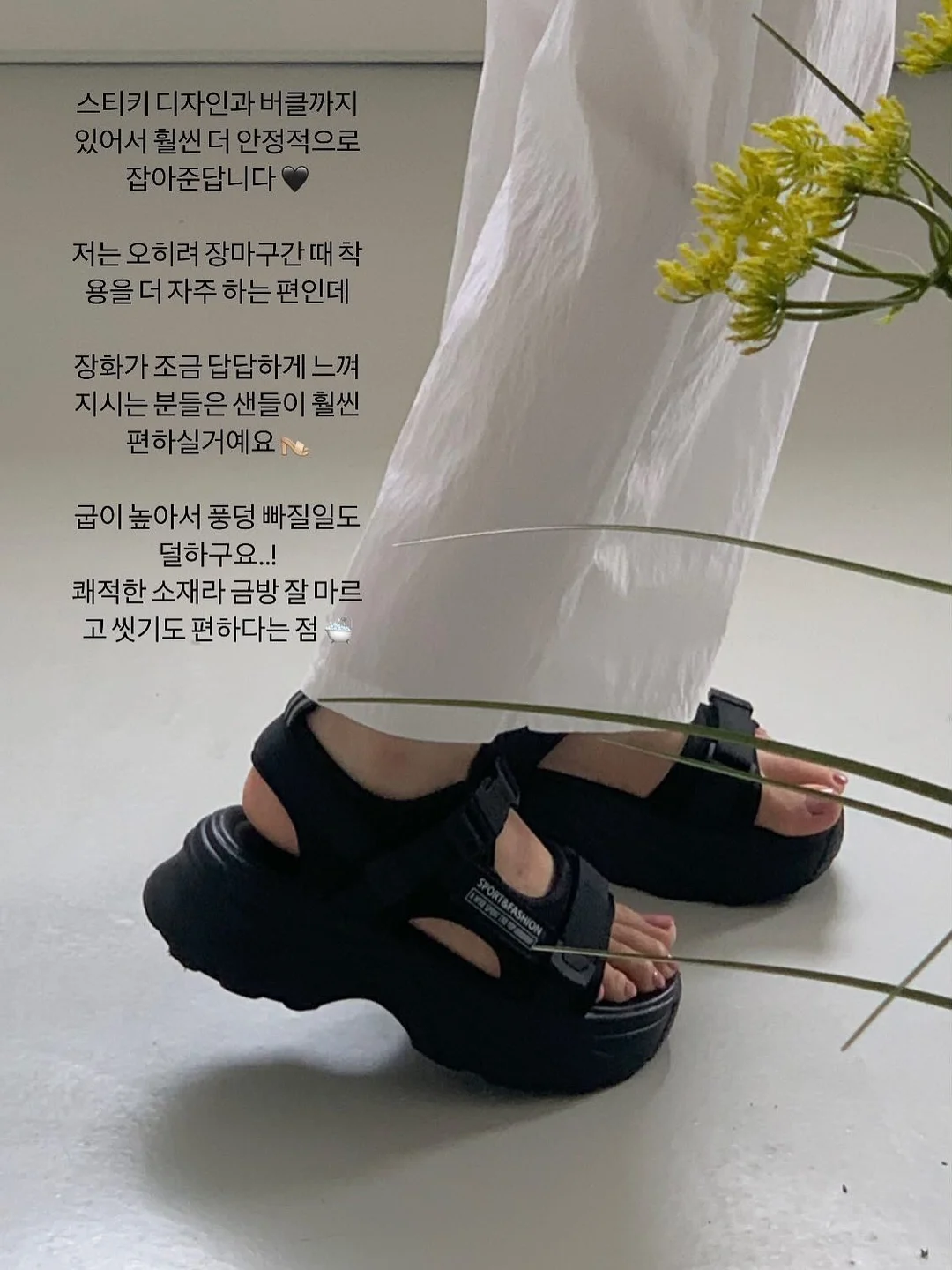 금반지 6