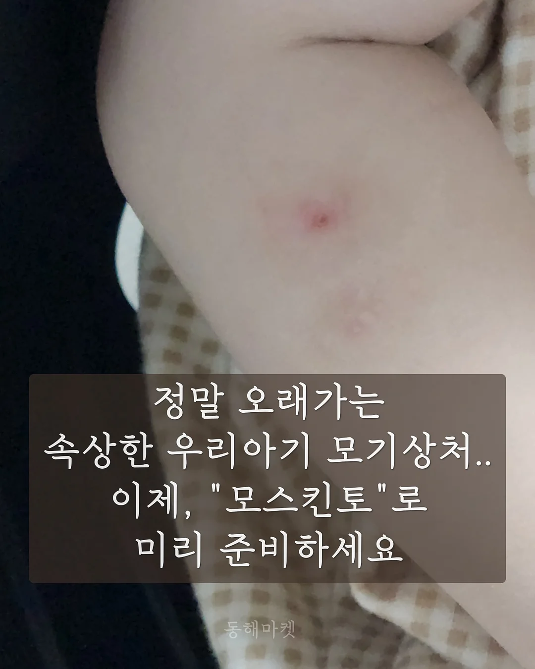 롤팬 뉴오리지널 8