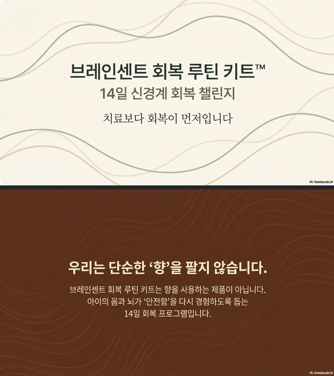 인생템 쿠션 1