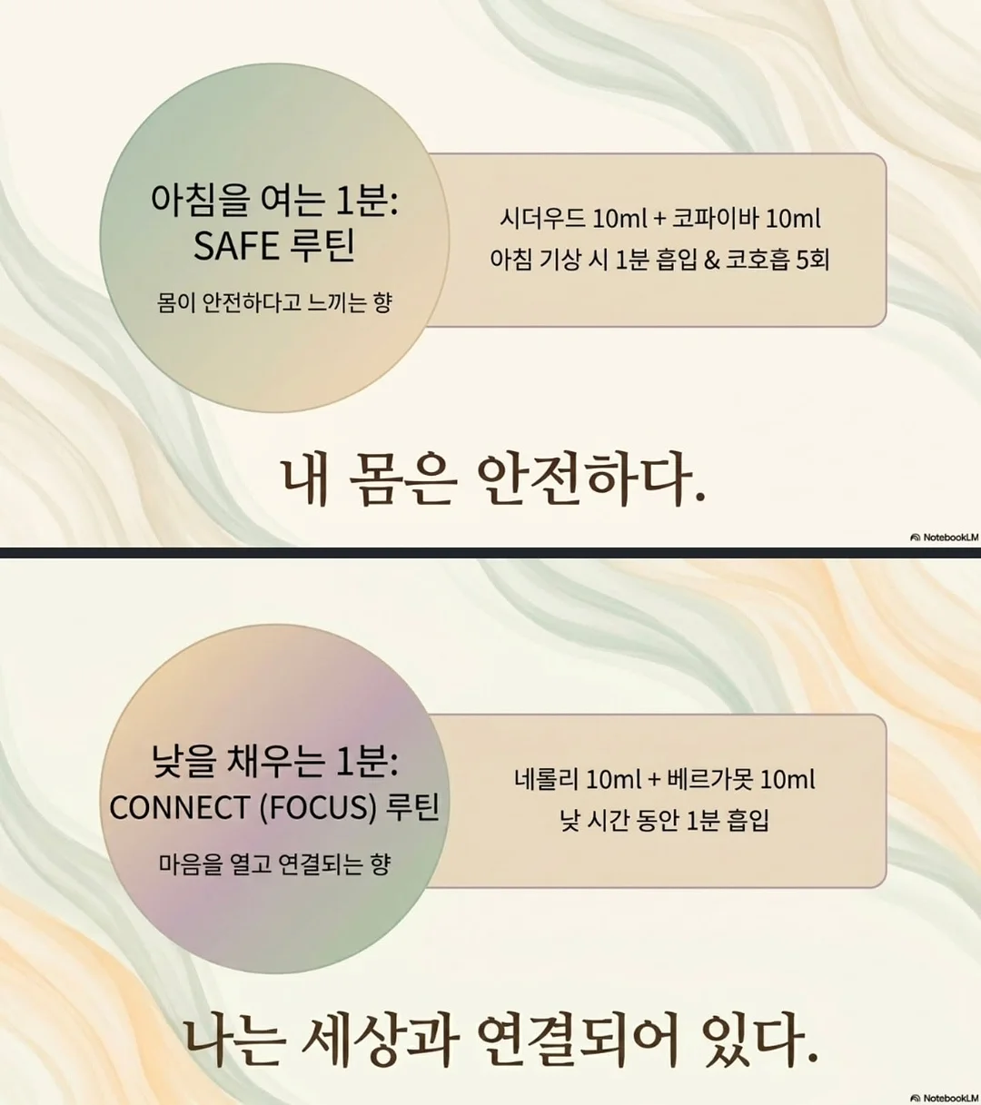 인생템 쿠션 4