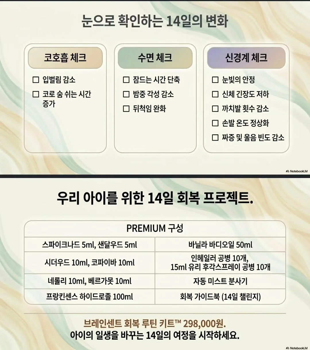 인생템 쿠션 7