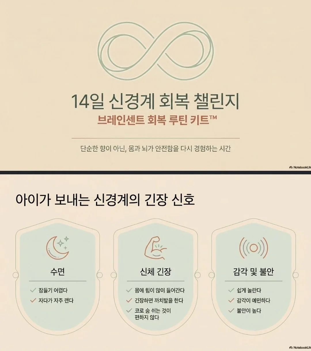 인생템 쿠션 8