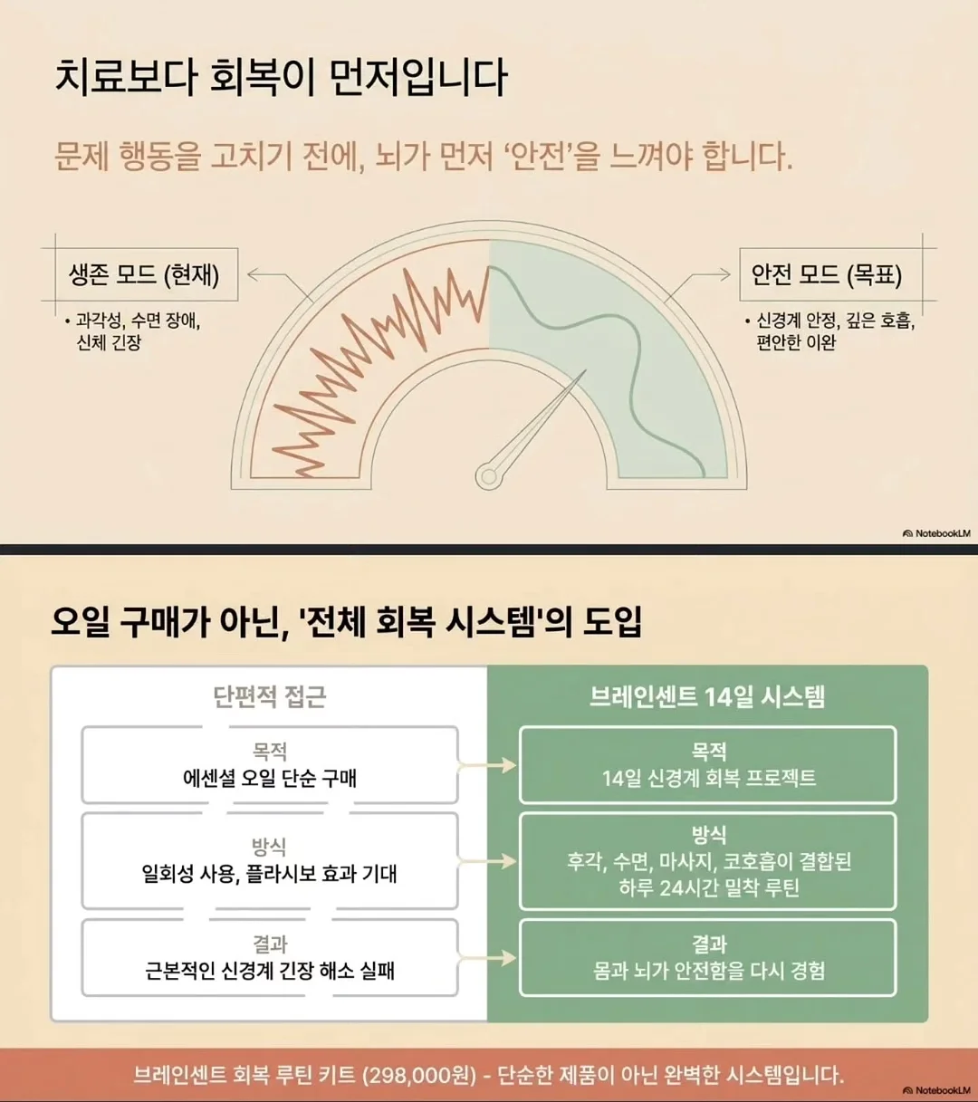 인생템 쿠션 9