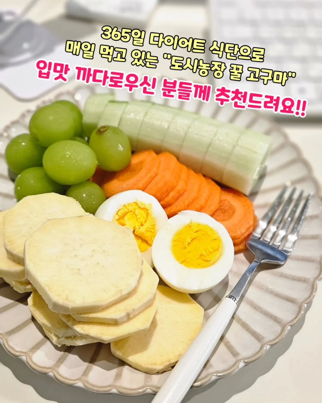오누 스윔슈트 11