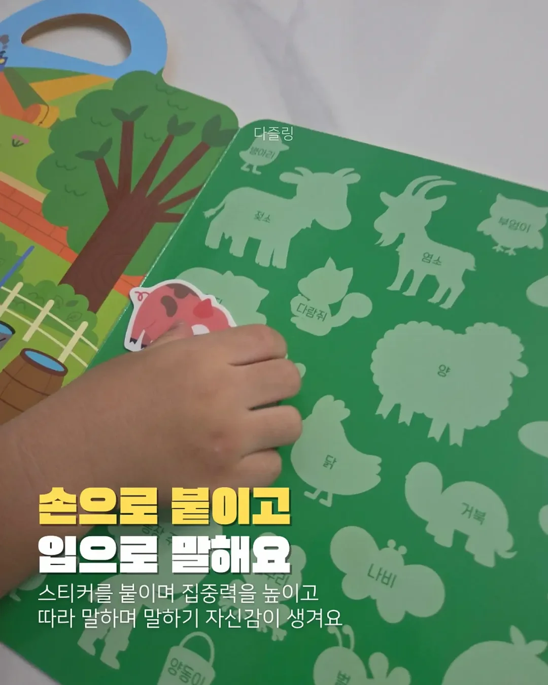 엔제리너스 수박주스 4