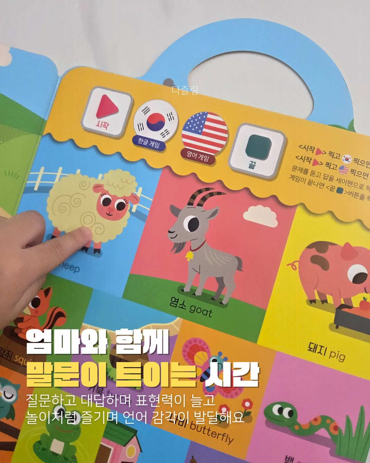 엔제리너스 수박주스 6