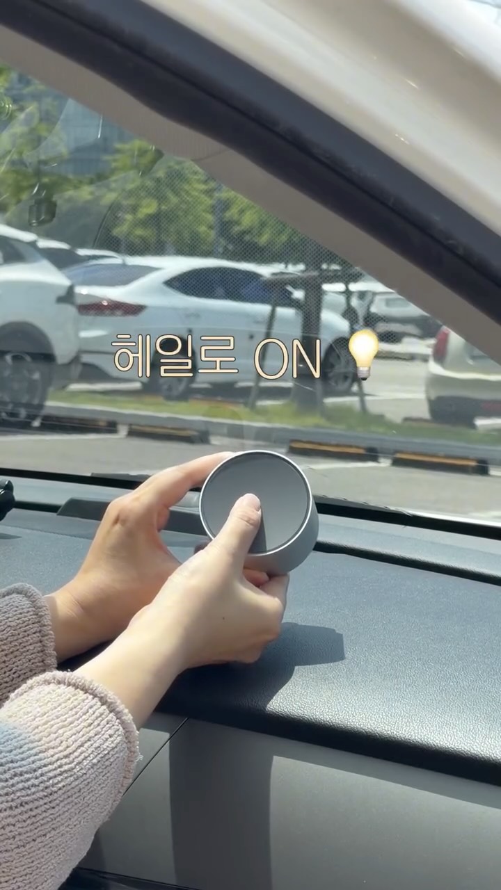 마따다비 나무 모종