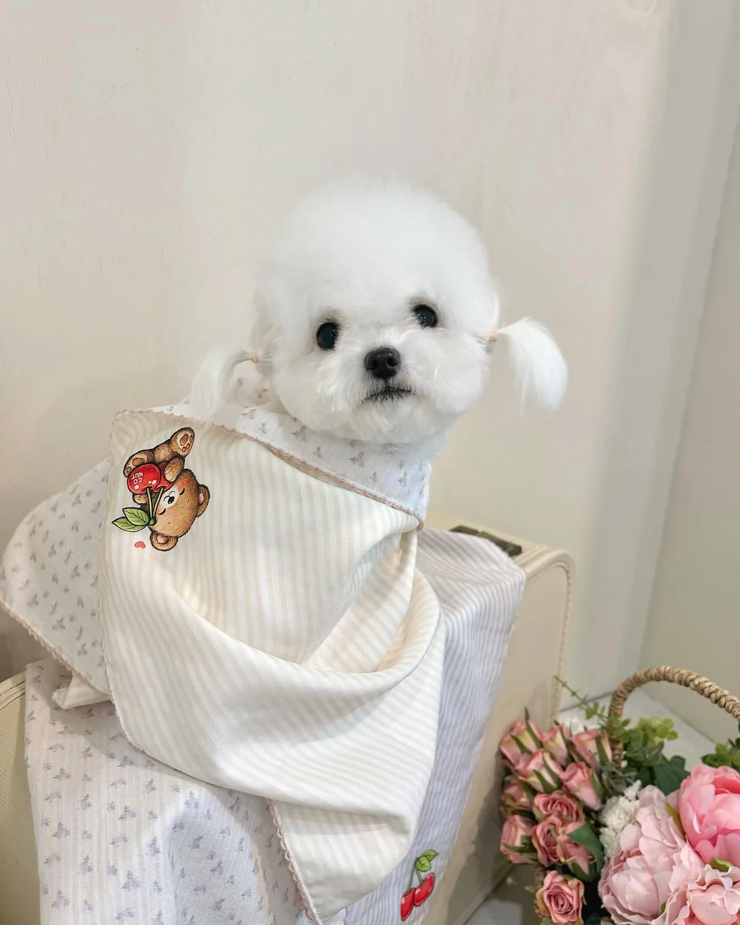 코씨 콜라겐 토너 8