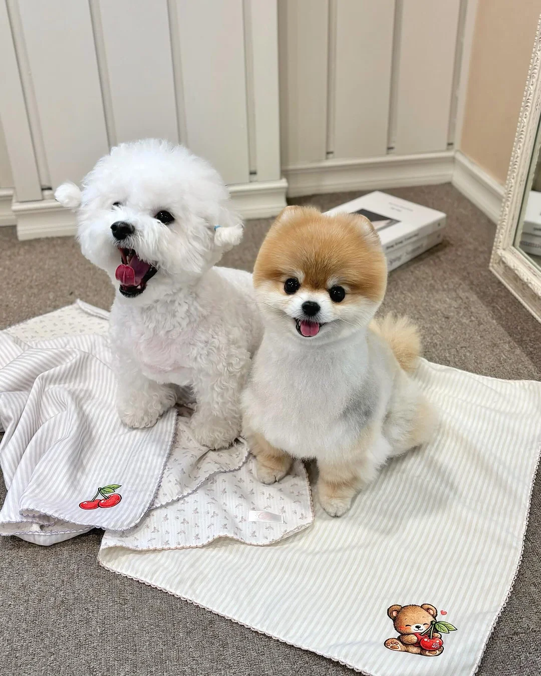 코씨 콜라겐 토너 10