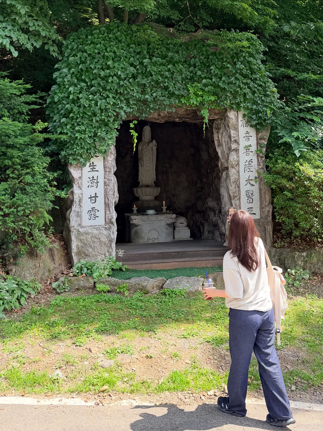 드래곤백 1