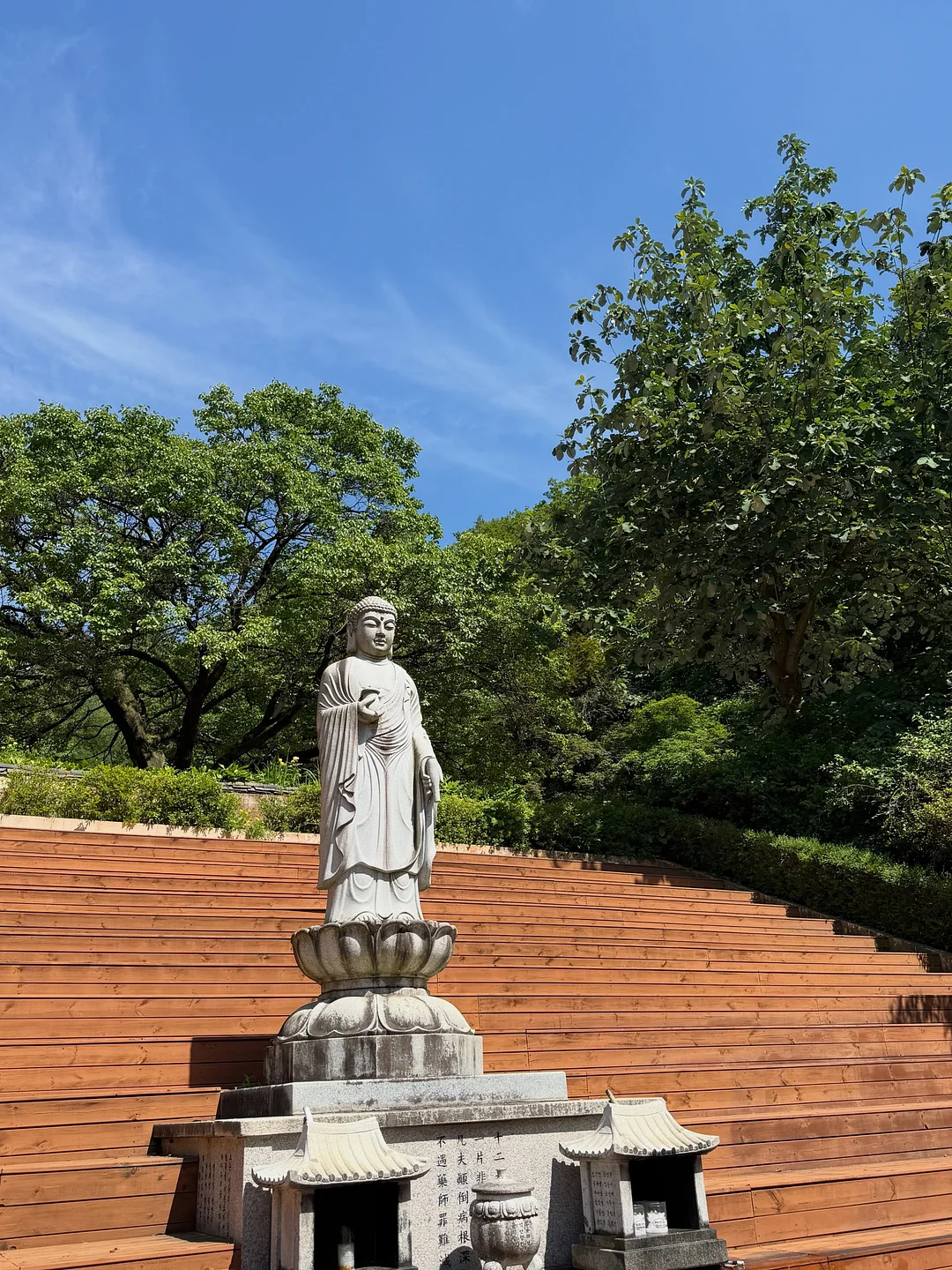 드래곤백 6
