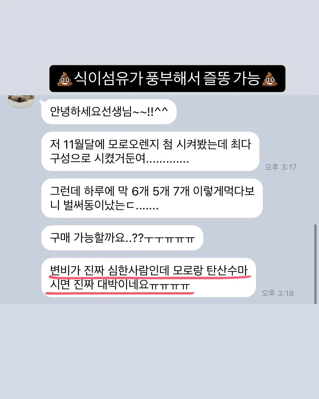 과일 야채 전동 착즙기 12