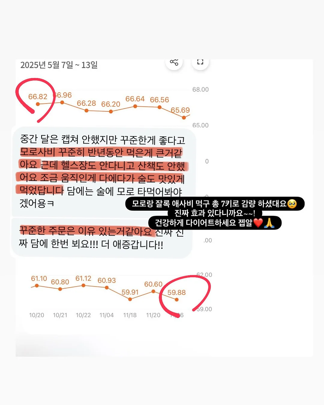 과일 야채 전동 착즙기 13