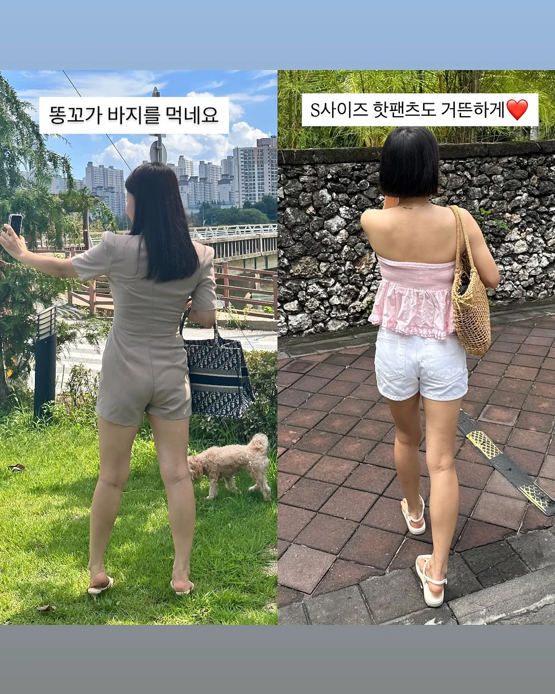 과일 야채 전동 착즙기 9