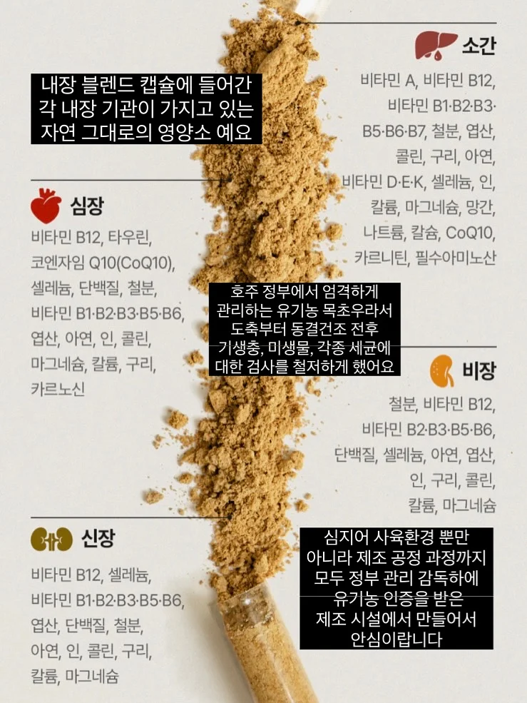 인기 최공아트 55디자인 13
