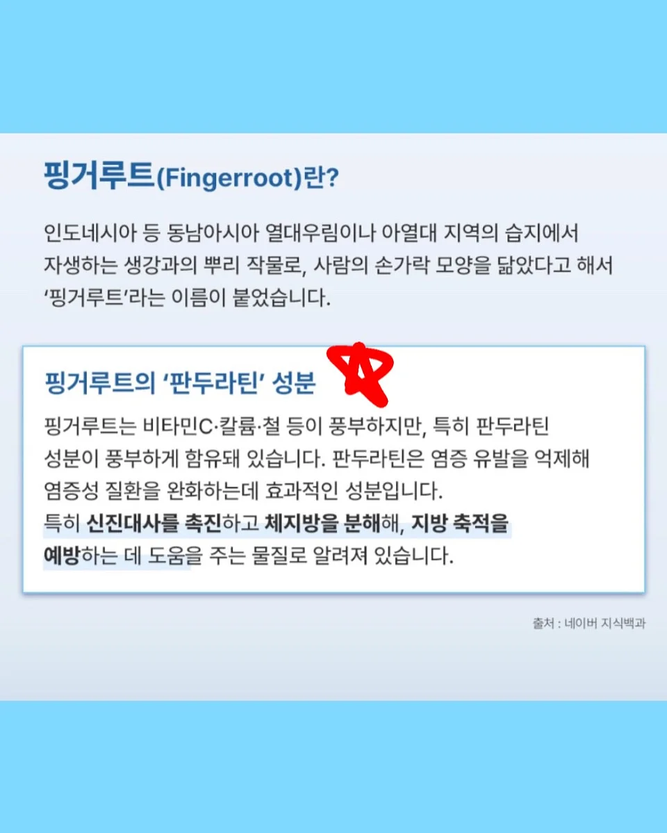 브이넥 도트 블라우스 7