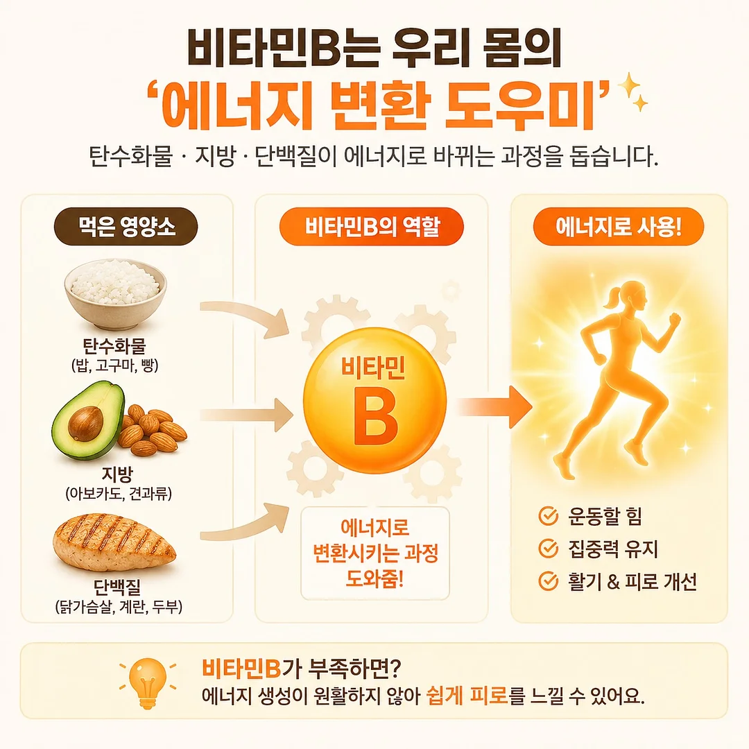 워크자켓 2