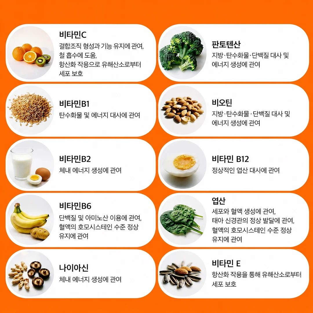 워크자켓 4