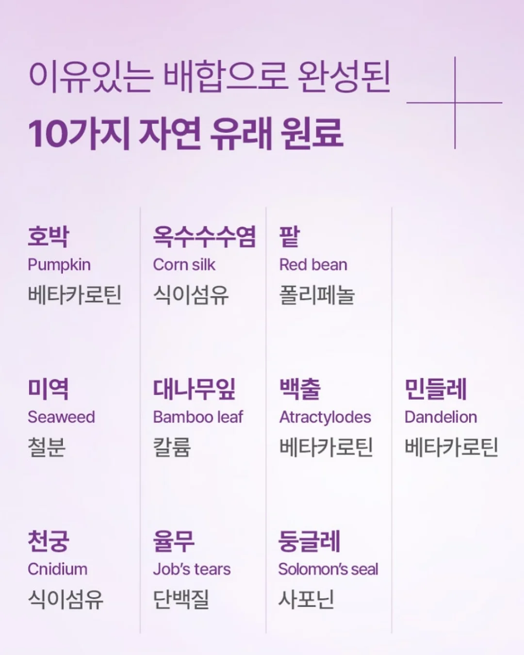 캉골키즈 어린이날 기획전 10