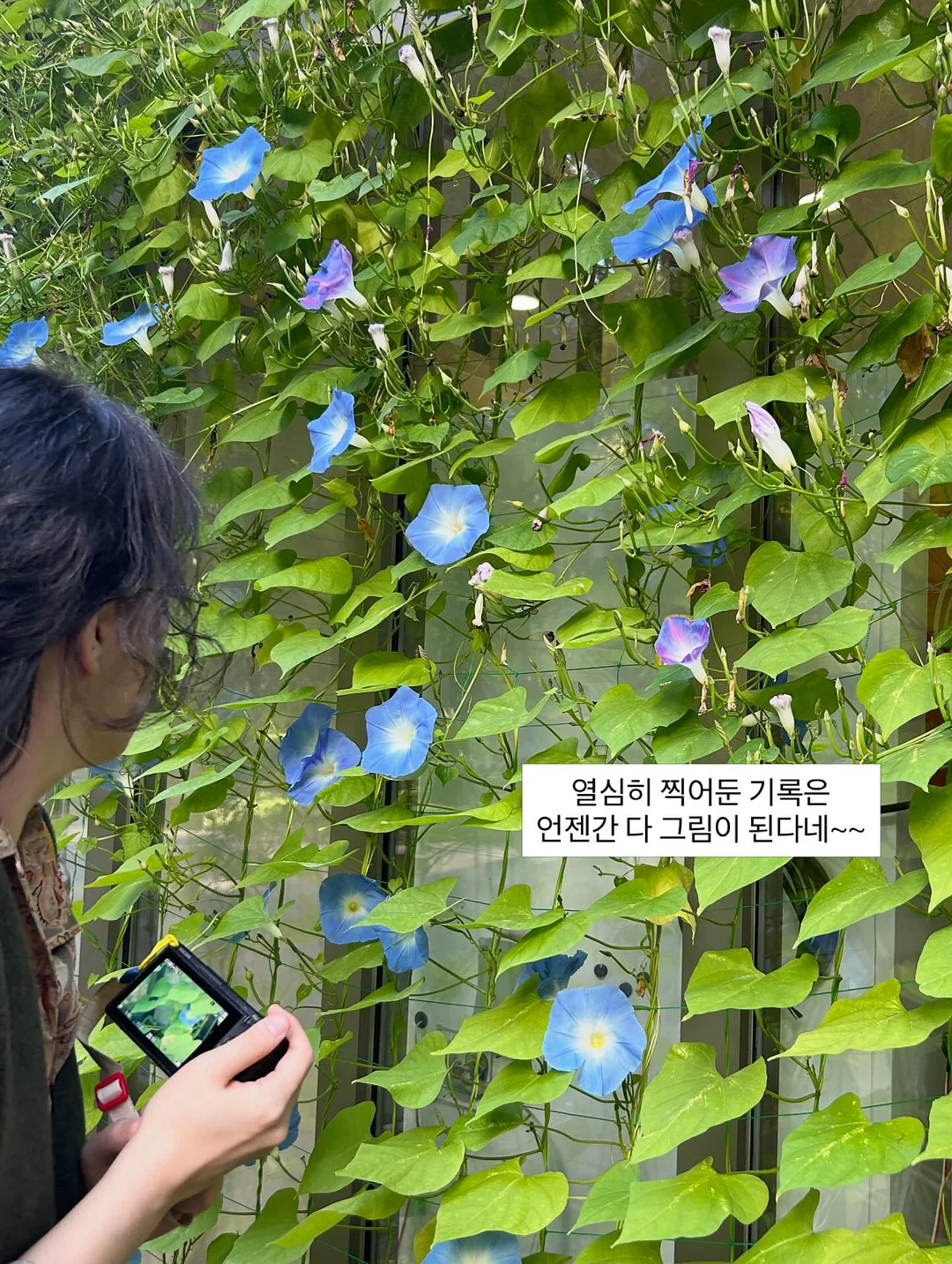 반값여행 정보 6