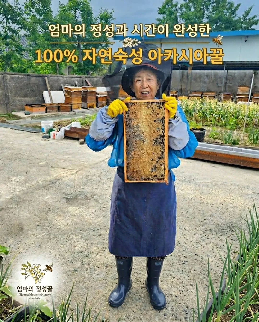 돗투돗 돗꼼아기우산 13