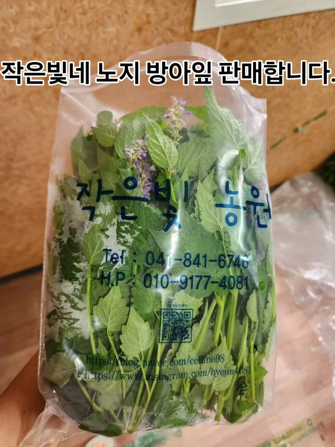 돗투돗 돗꼼아기우산 16