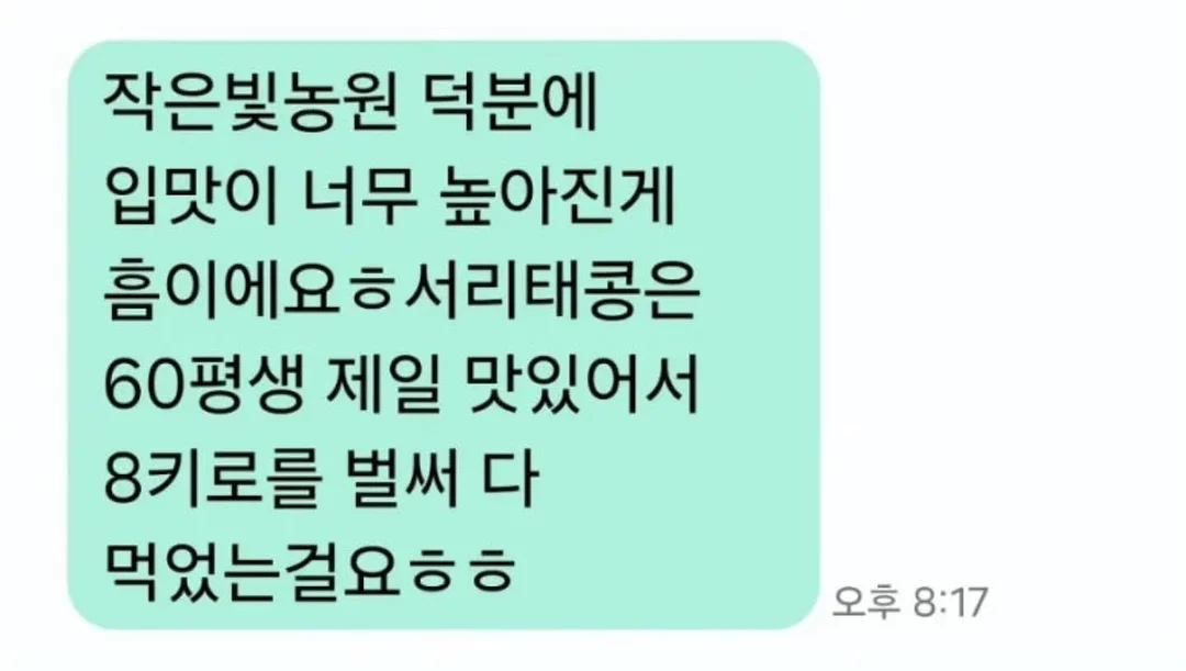 돗투돗 돗꼼아기우산 10