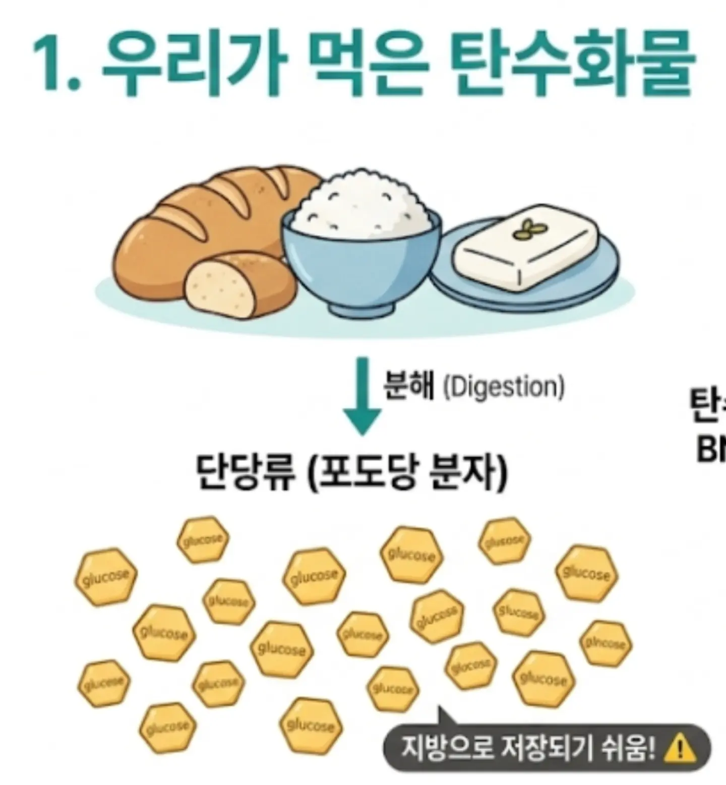 흑당고 갈색앰플 대용량 50ml 1