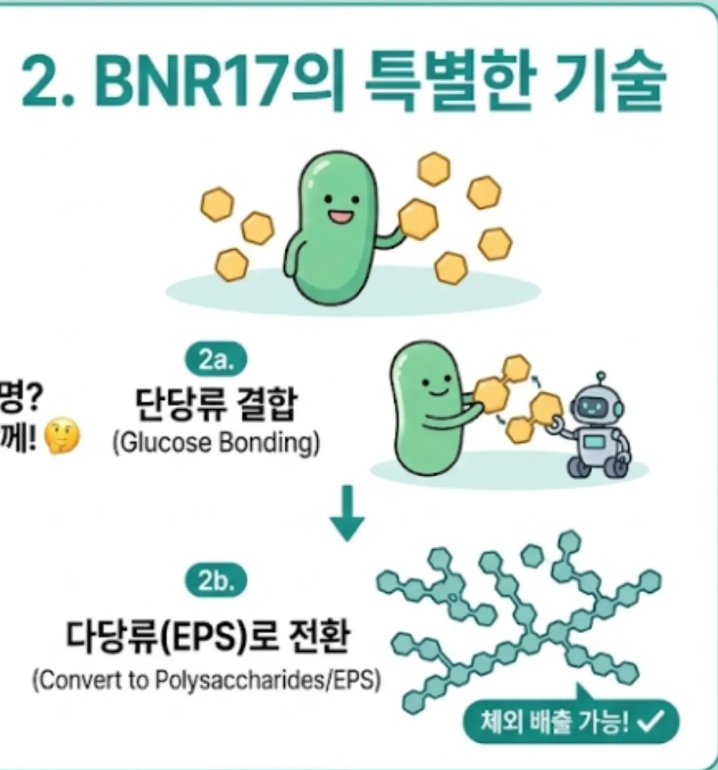 흑당고 갈색앰플 대용량 50ml 2
