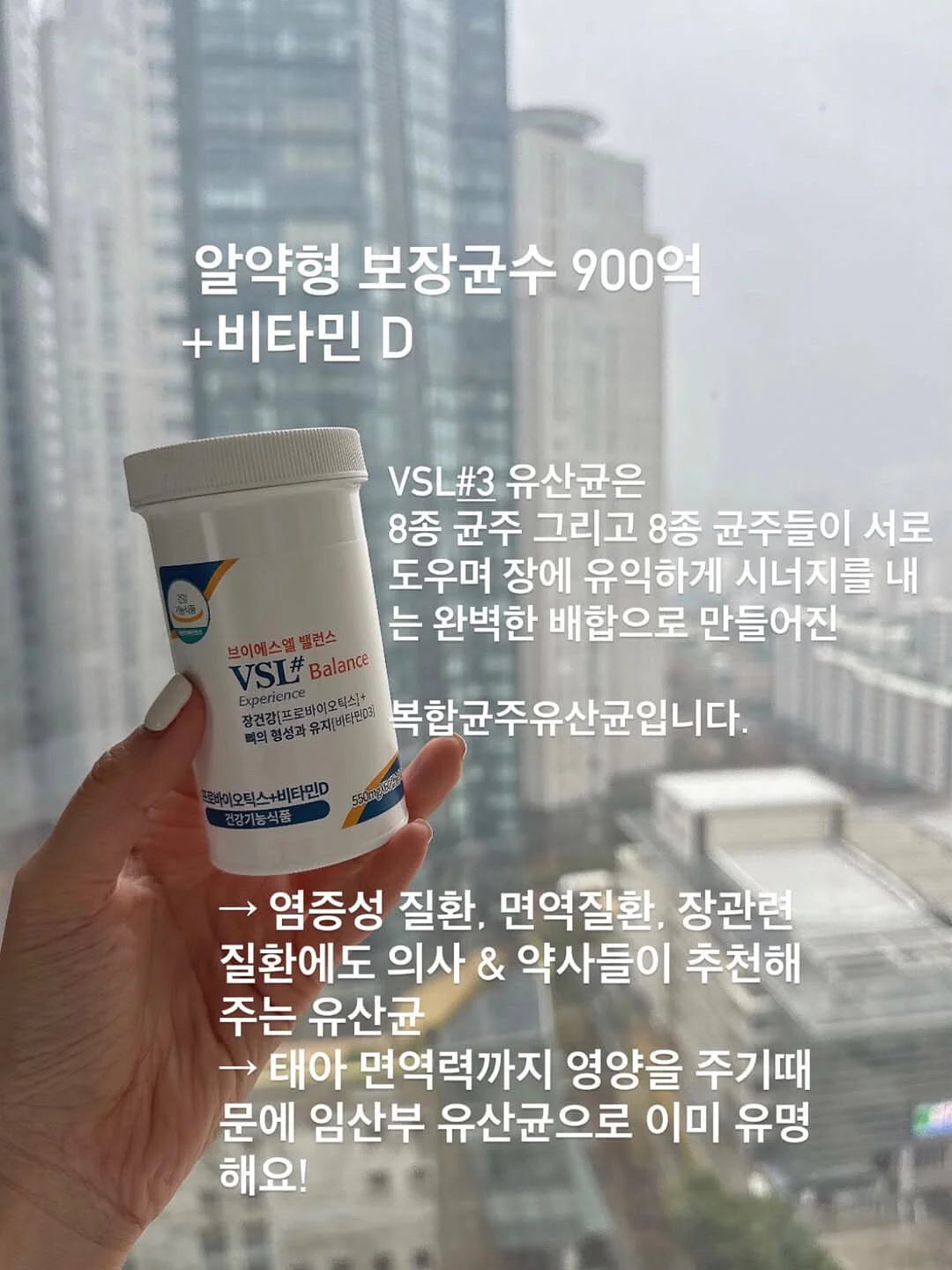학생부 분석 5