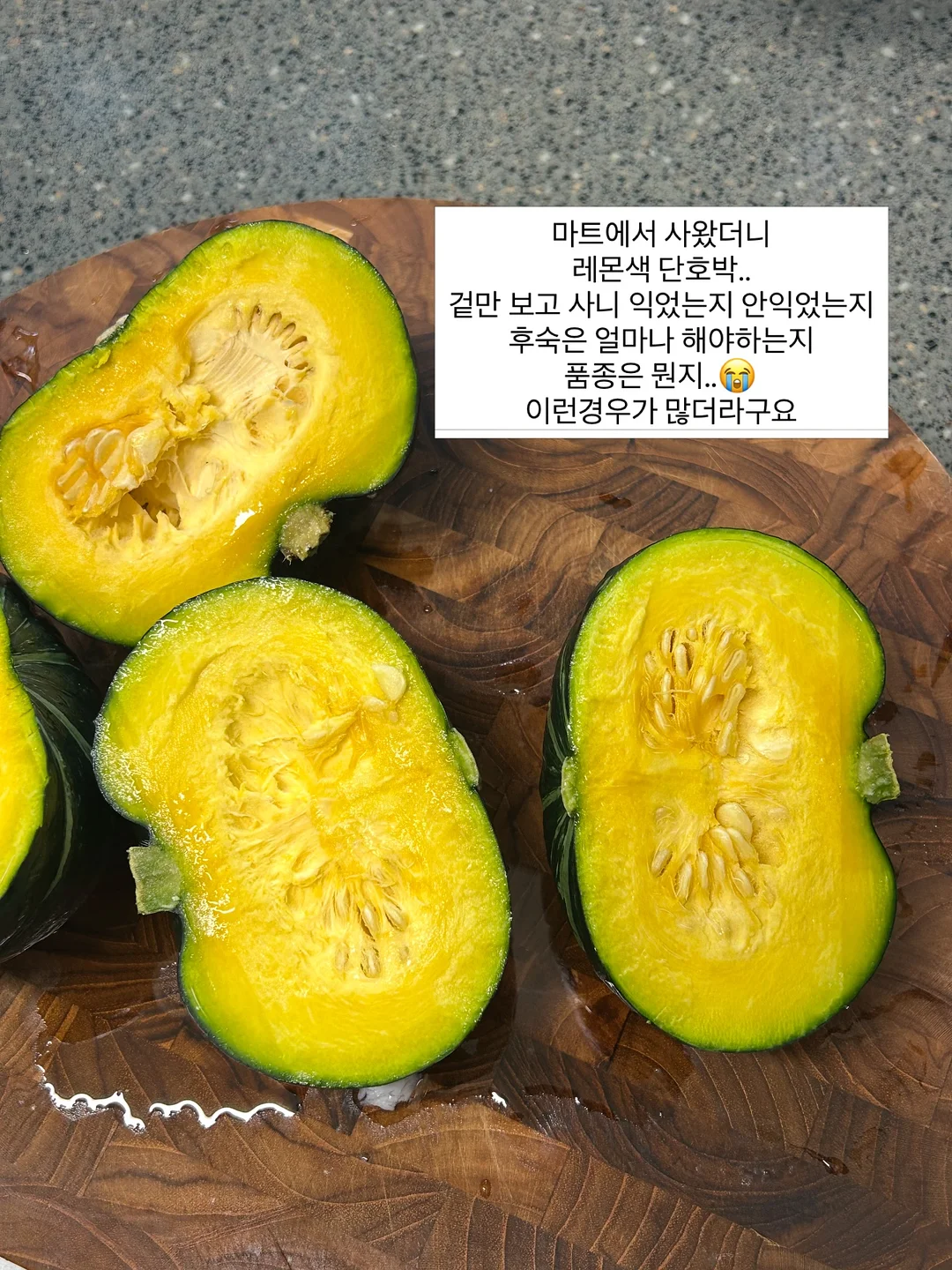 싸이벡스 제로나T 카시트 2