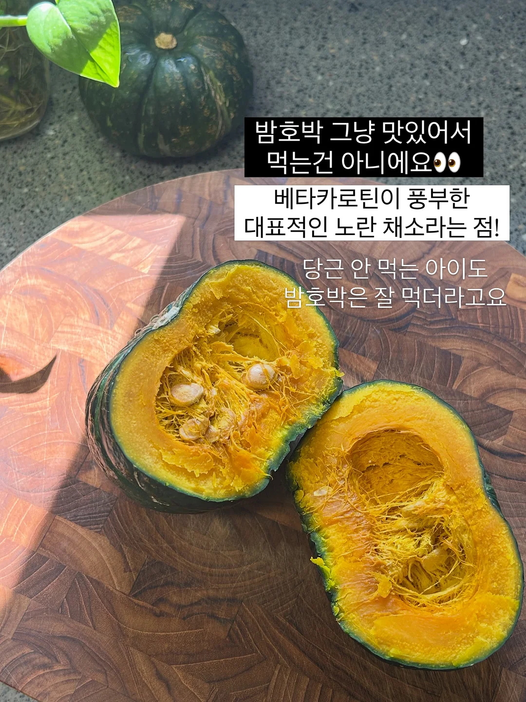 싸이벡스 제로나T 카시트 5