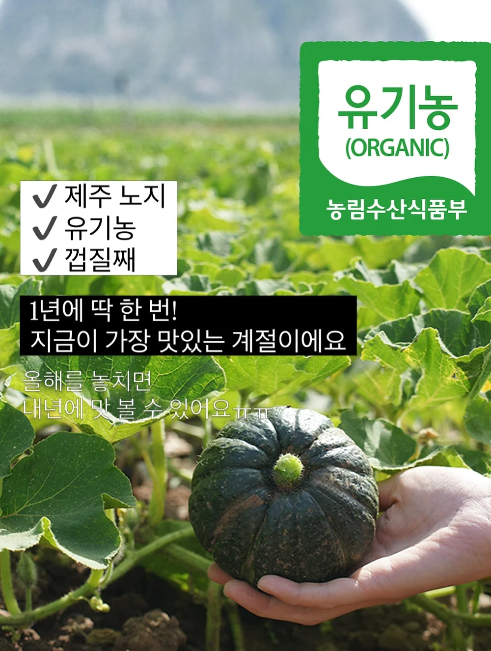 싸이벡스 제로나T 카시트 7