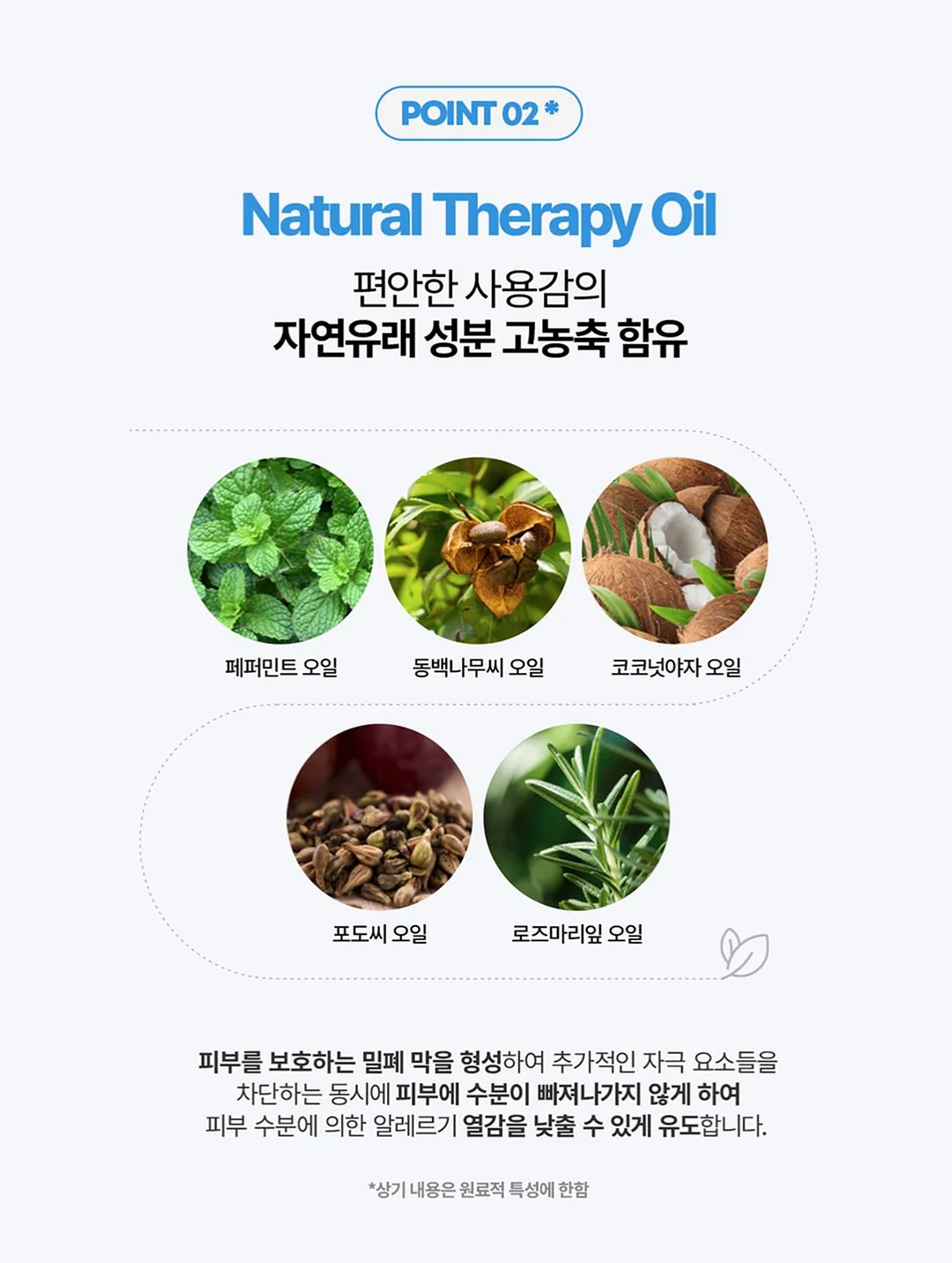 개미의 지하세계 수업 5