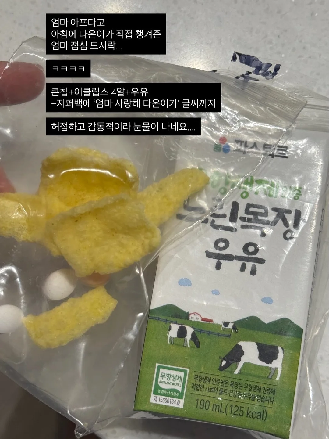 고양이 모양 이유식 쿨링기 6