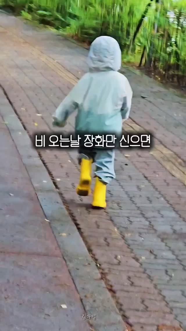 타이어 무상교체 정보