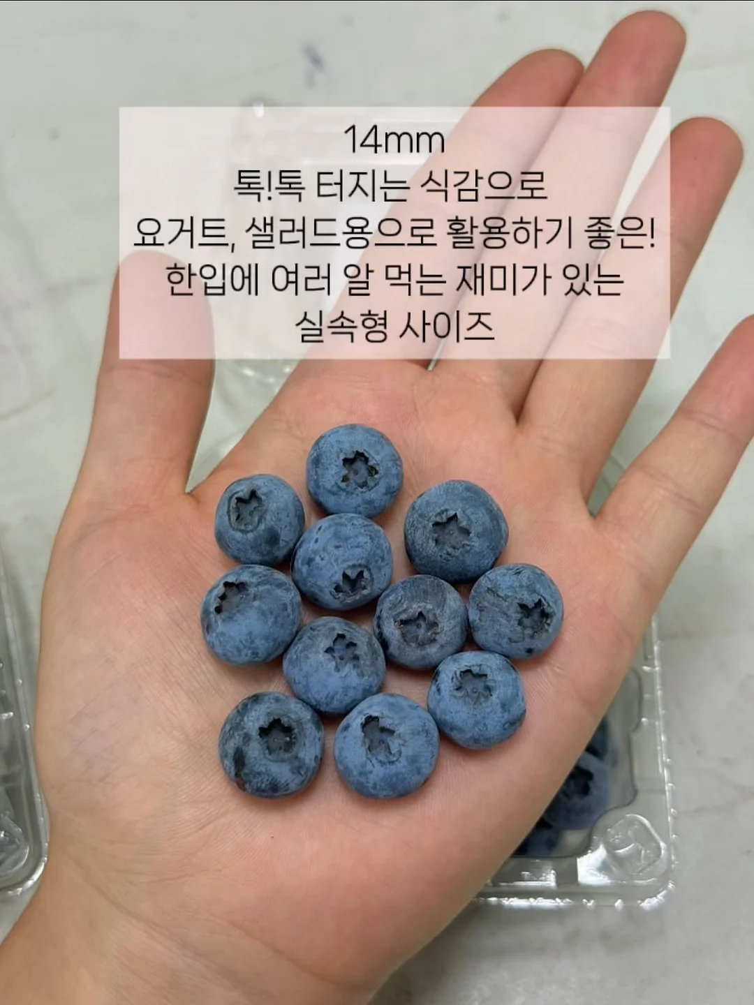 솔트크림 2