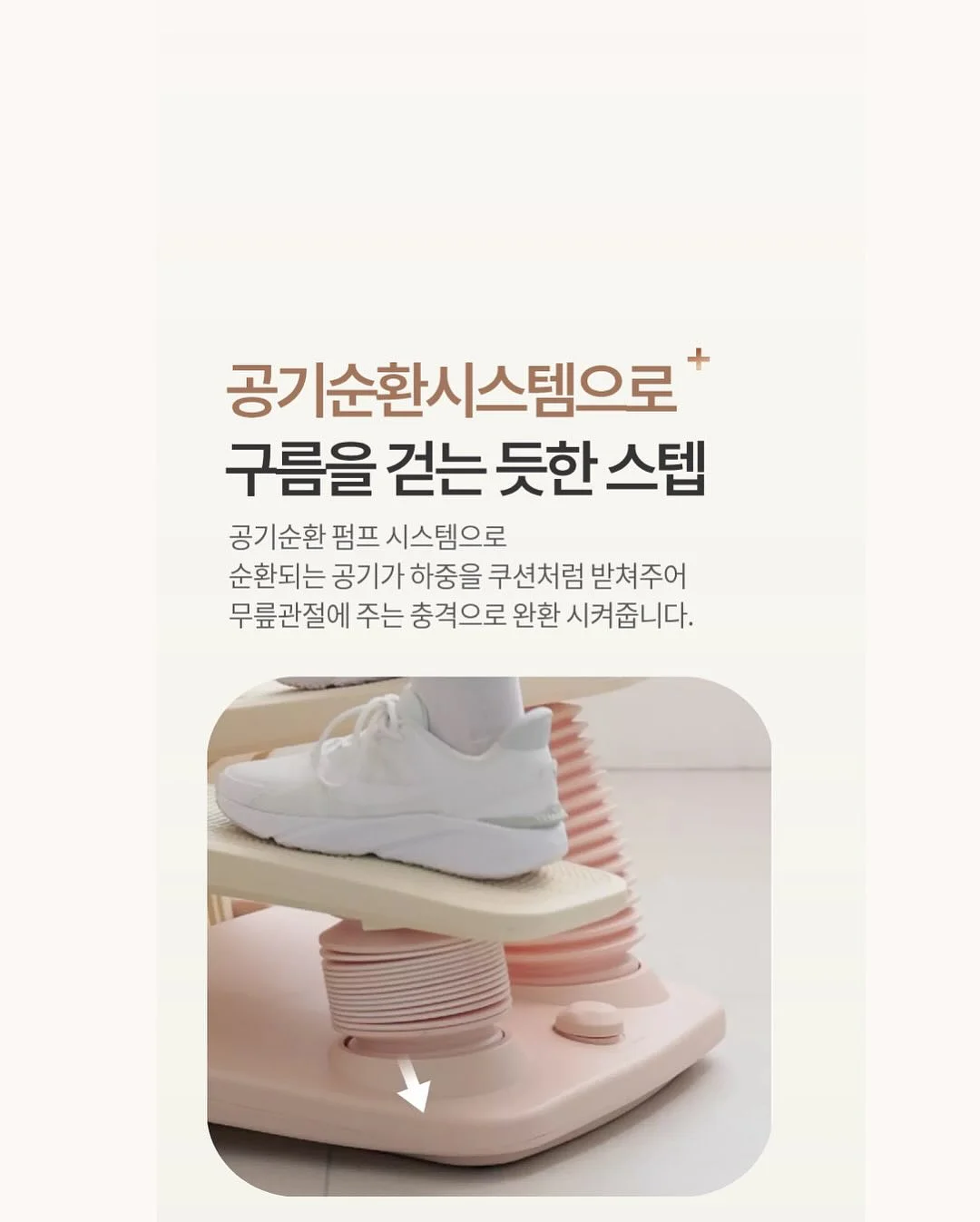 싸움의 교양 시리즈 12