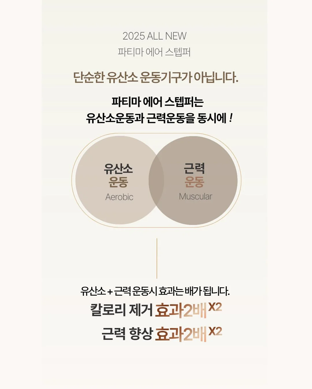 싸움의 교양 시리즈 4
