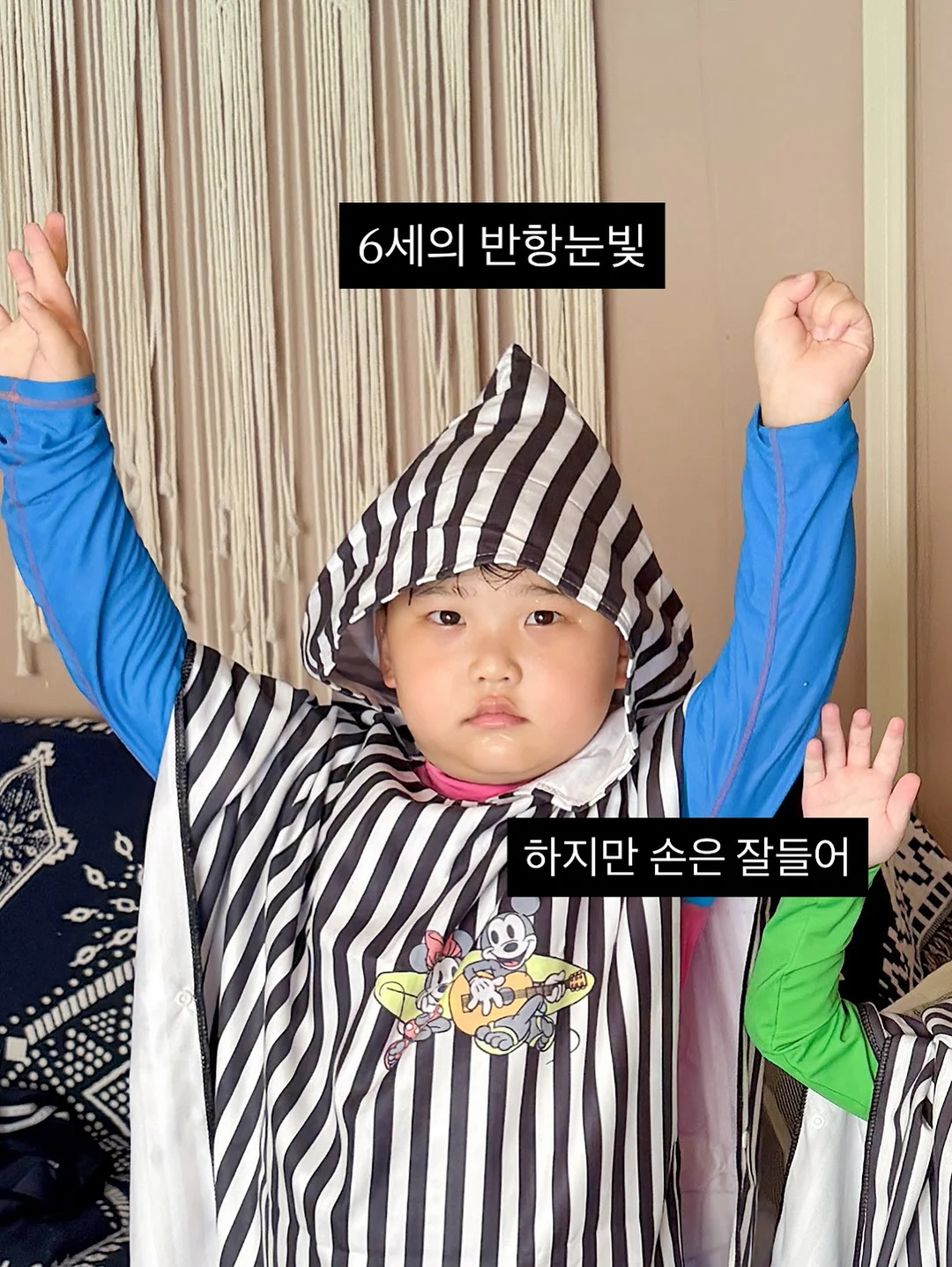 패드나시 12